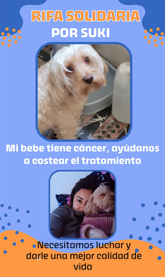 Ayuda a mi Suki luchar contra el cáncer