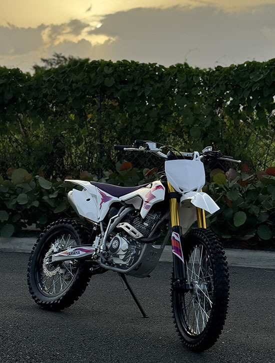 SÚPER ESPECIAL GATO BENGALA🔥