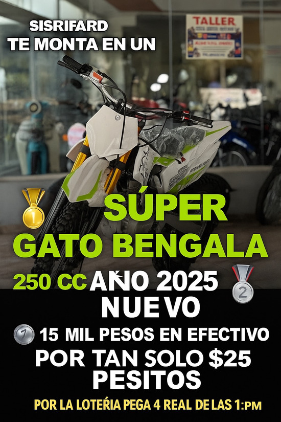 SUPER GATO BENGALA NUEVO 2025