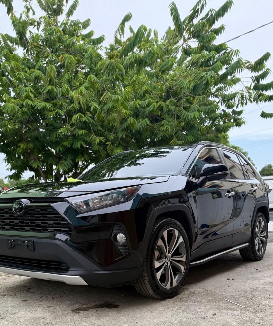 TOYOTA RAV4 2019 CLEAN CARFAX