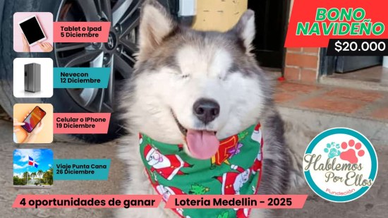 BONO NAVIDEÑO