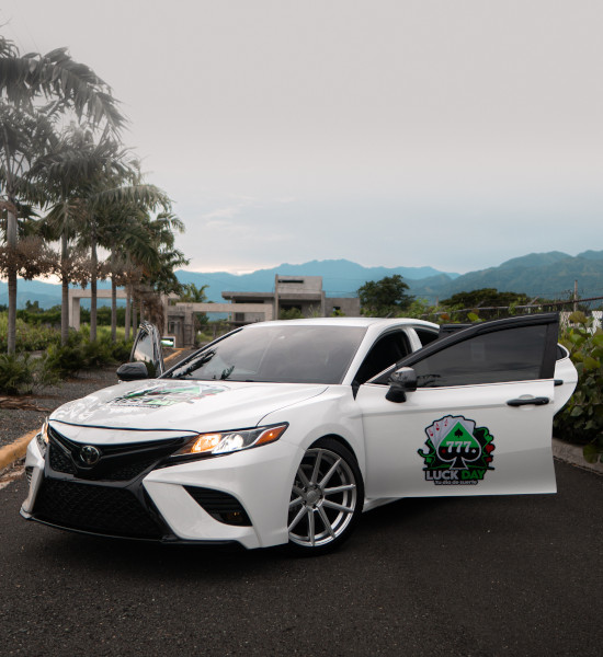 TOYOTA CAMRY SE 2020